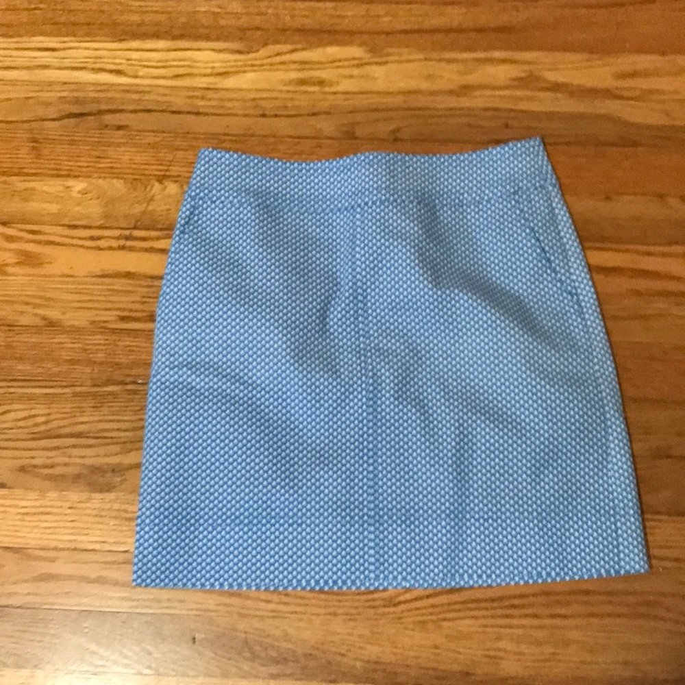 Talbots lined skirt